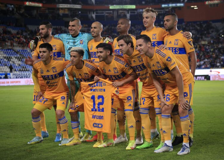 Lichnovski asegura que Tigres dará prioridad a los detalles