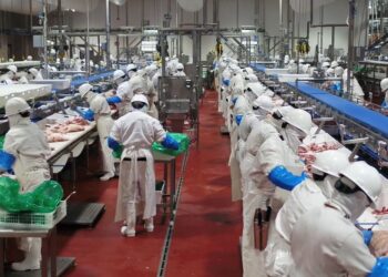 Granjas Carroll cumple 15 años donando carne a Sedif