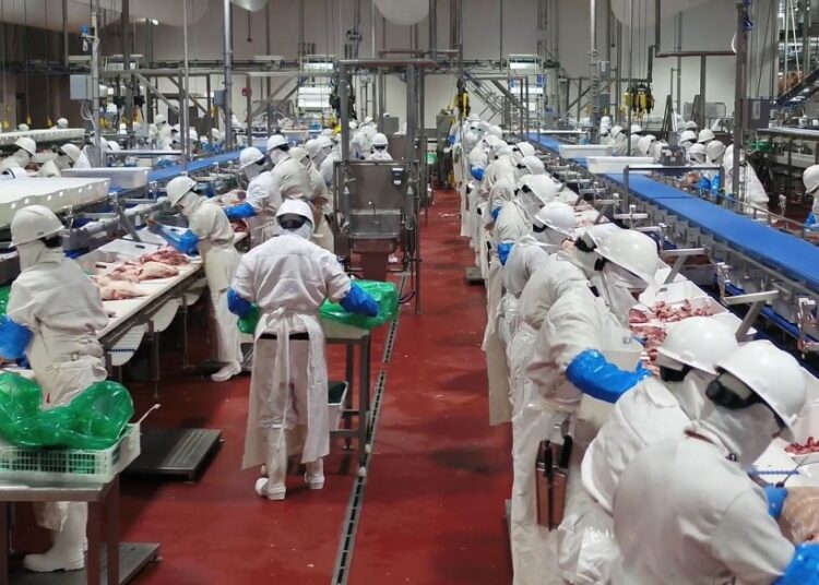 Granjas Carroll cumple 15 años donando carne a Sedif
