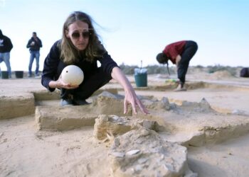 Hallan huevos de avestruz de hace más de 4 mil años en Israel