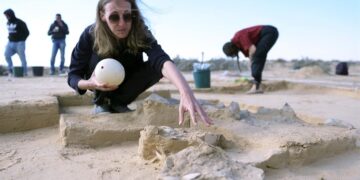 Hallan huevos de avestruz de hace más de 4 mil años en Israel