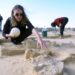 Hallan huevos de avestruz de hace más de 4 mil años en Israel