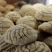 UPMIPAN anuncia incremento en el precio de la pieza de pan de dulce
