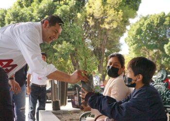 Armenta inicia 2023 con primera jornada de reforestación