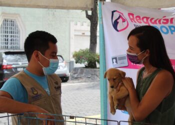 Medio Ambiente exhorta evitar compra de mascotas por Día de Reyes