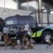 Presentan a 10 nuevos ejemplares de Unidad Canina de SSC
