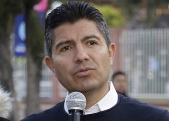 ERP pide castigo ejemplar para quien atropelló a ‘naranjita’