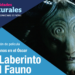 Checa las actividades culturales que hay este fin en Puebla