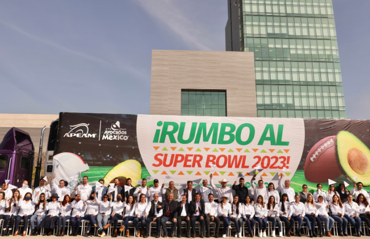 México enviará hasta 130 mil toneladas de aguacate a EE.UU. por Super Bowl