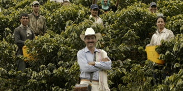 Juan Valdez no ha logrado conquistar México