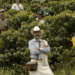 Juan Valdez no ha logrado conquistar México