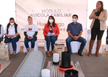Bienestar garantiza consumo de huevo a familias