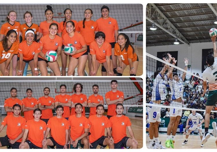 Equipos Udlap regresan a actividades