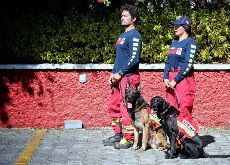 Equipo de Cruz Roja Puebla hará labores de rescate en Turquía