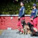 Equipo de Cruz Roja Puebla hará labores de rescate en Turquía