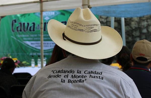 Productores del sur de México inauguran mezcaloteca, un museo del mezcal