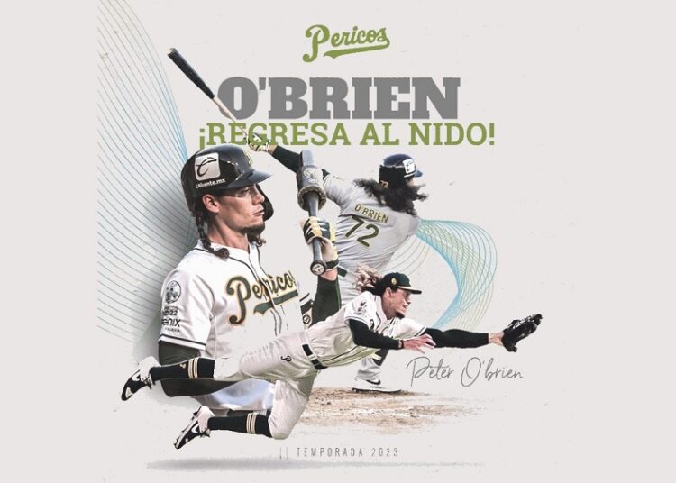 ¡Confirmado! Peter O’Brien jugará con Pericos en 2023