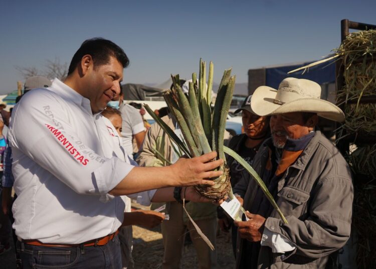 Armenta entrega 200 plantas de Maguey en la Mixteca Poblana