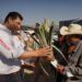 Armenta entrega 200 plantas de Maguey en la Mixteca Poblana