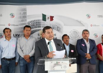 S.O.S Nacional en Zonas Boscosas por plaga de insecto descortezador
