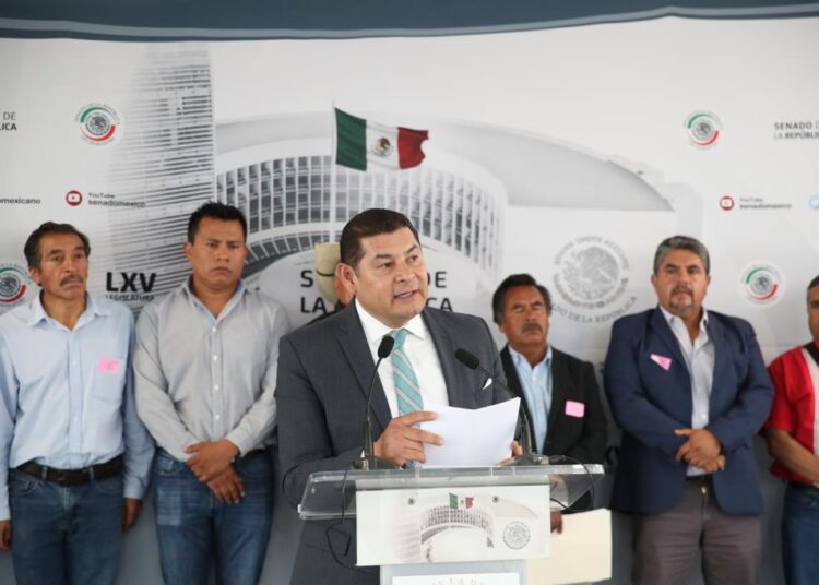 S.O.S Nacional en Zonas Boscosas por plaga de insecto descortezador