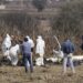 Cae décima persona implicada en accidente de los Moreno Valle