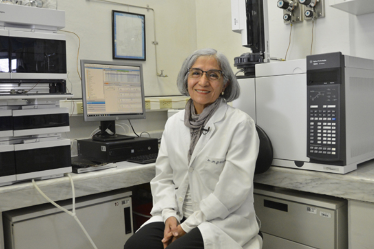 Paz Elizalde, primera académica BUAP con máxima distinción del CONACYT: Investigadora Nacional Emérita