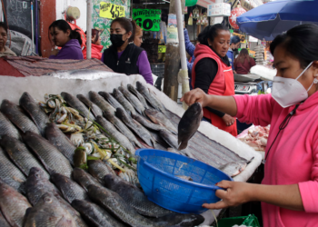 Comerciantes de pescados y mariscos estiman alcanzar repunte en ventas de alrededor de 70%