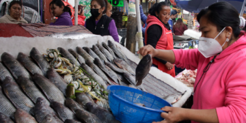 Comerciantes de pescados y mariscos estiman alcanzar repunte en ventas de alrededor de 70%