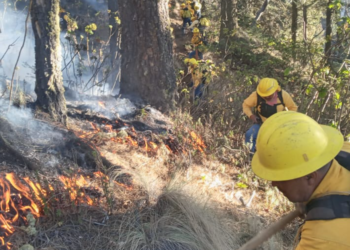 Brigadas combaten incendios forestal en Atzitzintla: Medio Ambiente