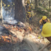 Brigadas combaten incendios forestal en Atzitzintla: Medio Ambiente