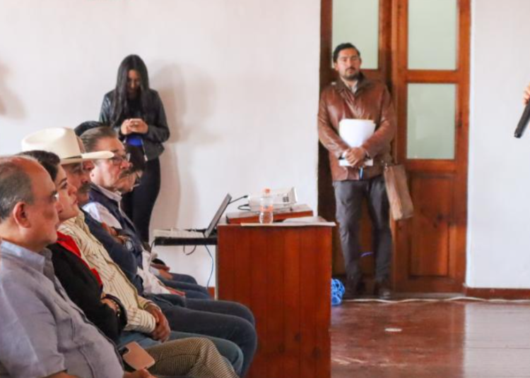 Zacatlán con buenos resultados para localización de personas desaparecidas
