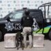 Comando K9 de SSC logra decomisar droga