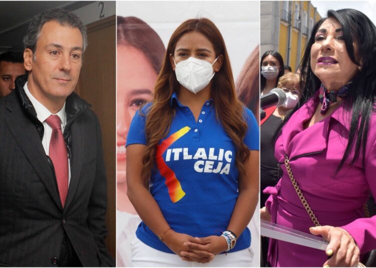 Chedraui, Ceja o Saldaña podrían relevar a Silvia Tanús