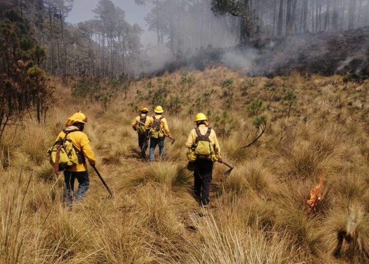 Ante ola de calor y sequía, gobierno de Puebla plantea estrategias