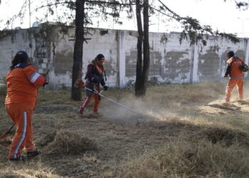 Ayuntamiento ha intervenido 11 millones de m2 de áreas verdes