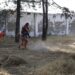 Ayuntamiento ha intervenido 11 millones de m2 de áreas verdes