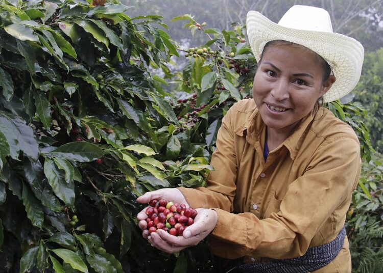 SDR protege patrimonio de cafeticultores