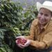 SDR protege patrimonio de cafeticultores