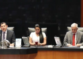 En el Senado se trabaja a favor del desarrollo de la niñez: Armenta