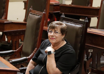 Asumiré las comisiones que tenía Isabel Merlo en el Congreso: Silvia Tanús