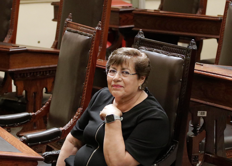 Asumiré las comisiones que tenía Isabel Merlo en el Congreso: Silvia Tanús