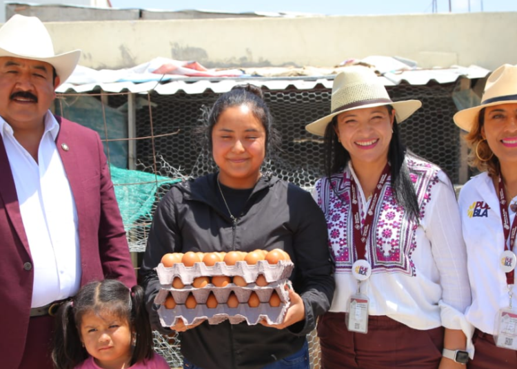 Con Programa Integral Alimentario, gobierno garantiza bienestar de familias poblanas