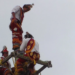 Voladora de Papantla muere al caer durante la Feria de las Flores en Huauchinango