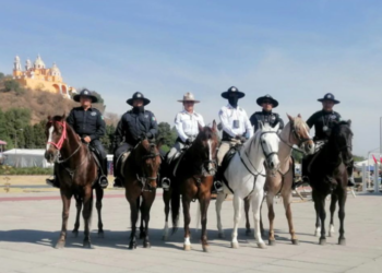 Saldo blanco tras Festival Volarte 2023
