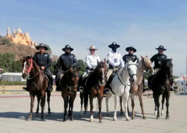 Saldo blanco tras Festival Volarte 2023