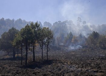 Se registran 130 incendios forestales en lo que va del año