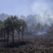 Se registran 130 incendios forestales en lo que va del año