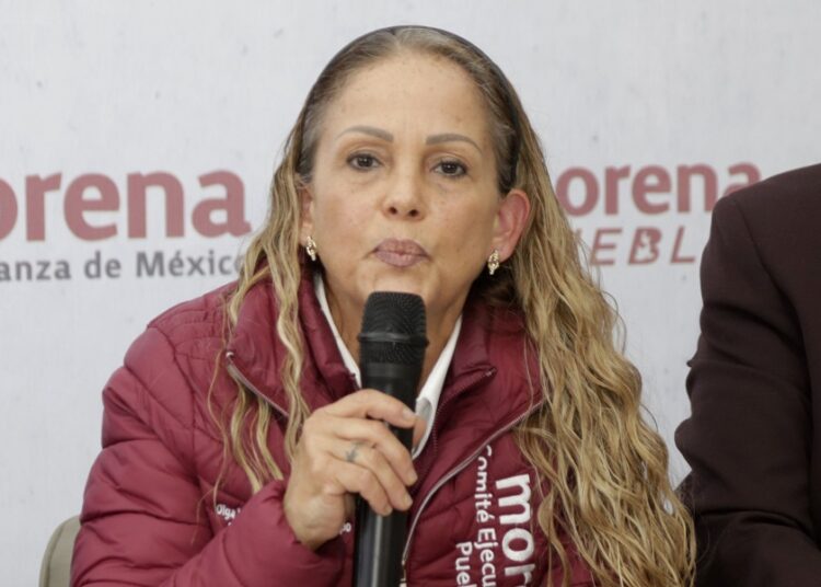 Morena denuncia aparición de comités municipales ‘patito’