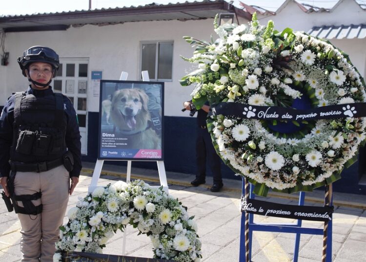 SSC rinde homenaje póstumo a Dima